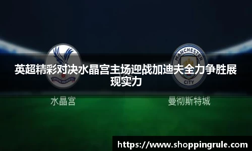 英超精彩对决水晶宫主场迎战加迪夫全力争胜展现实力